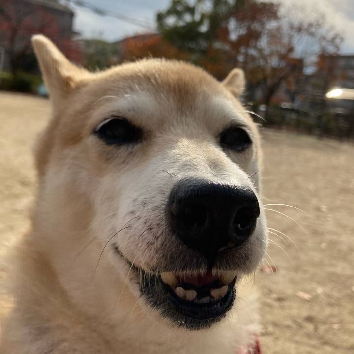 83336740 7ad3 451a 95ef 95cec1ea6e86 1638791298573