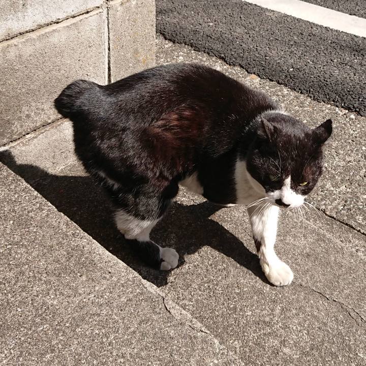 83339614 2b11 4437 bb57 a2715e5f9e82 1647051500450