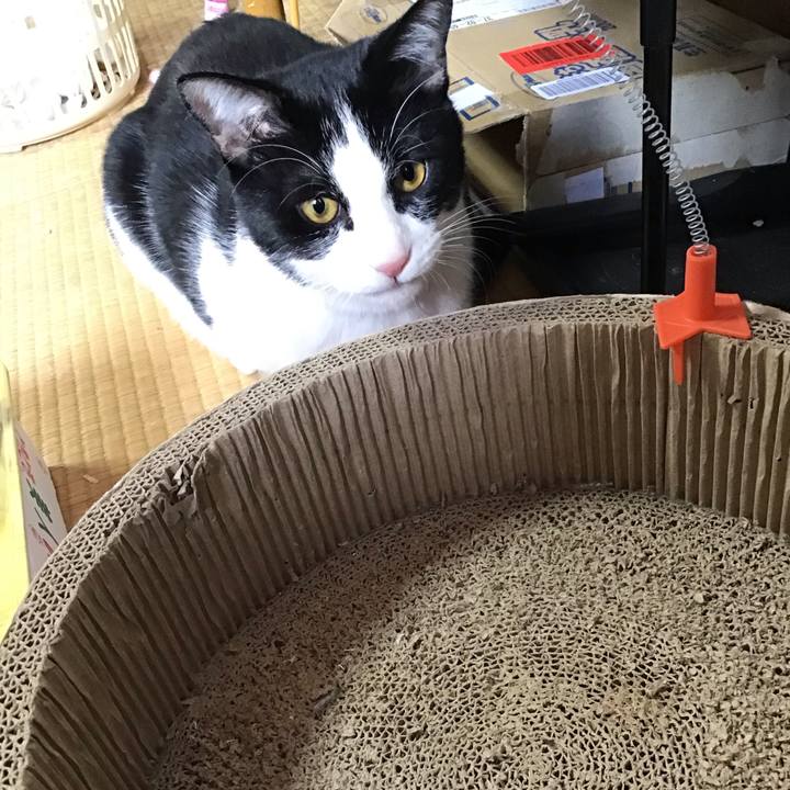 8333ca65 3308 4c01 ae67 bf2ce338fb95 1644631786922