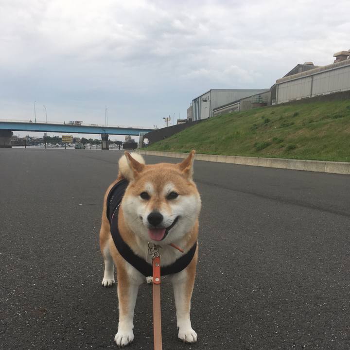 8333e642 fca1 493d bab1 7c3cc16237b3 1562670327488