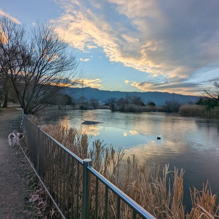 83340214 2925 4bea a8c2 25614812dda7 1644200842157