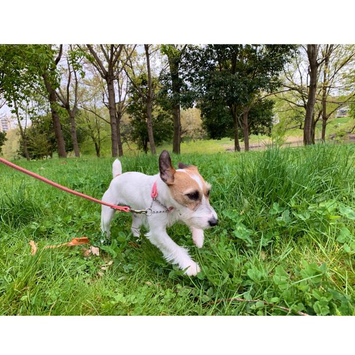 83343465 0620 47d7 8a9a 8bc4218a1743 1587104700490