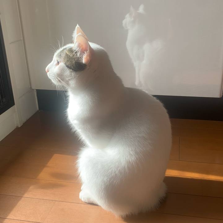 83345e43 e7a5 496c ba18 62d919f65611 1613108594686