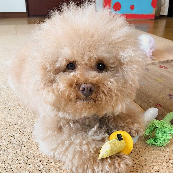 83345eee d2e0 4379 a849 8f694ee88067 1534907894065