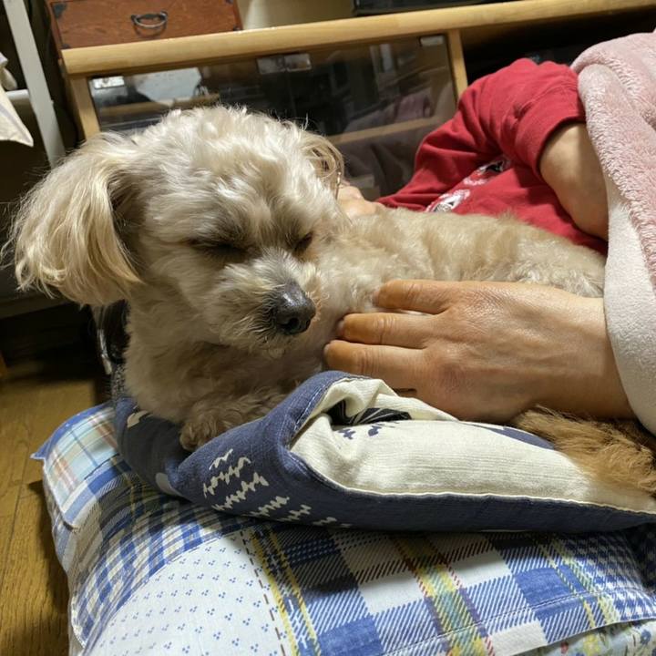 83346a0d 42db 4036 8e2e 5b0347986e74 1587188134858