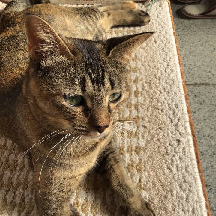 8334792b df5f 4561 95da f50a7df4d4c7 1606963063600