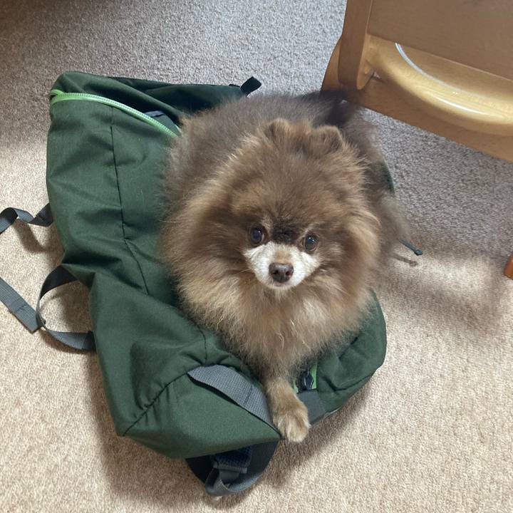 83348c05 43cc 4f5d af6f 928108212385 1699141891531