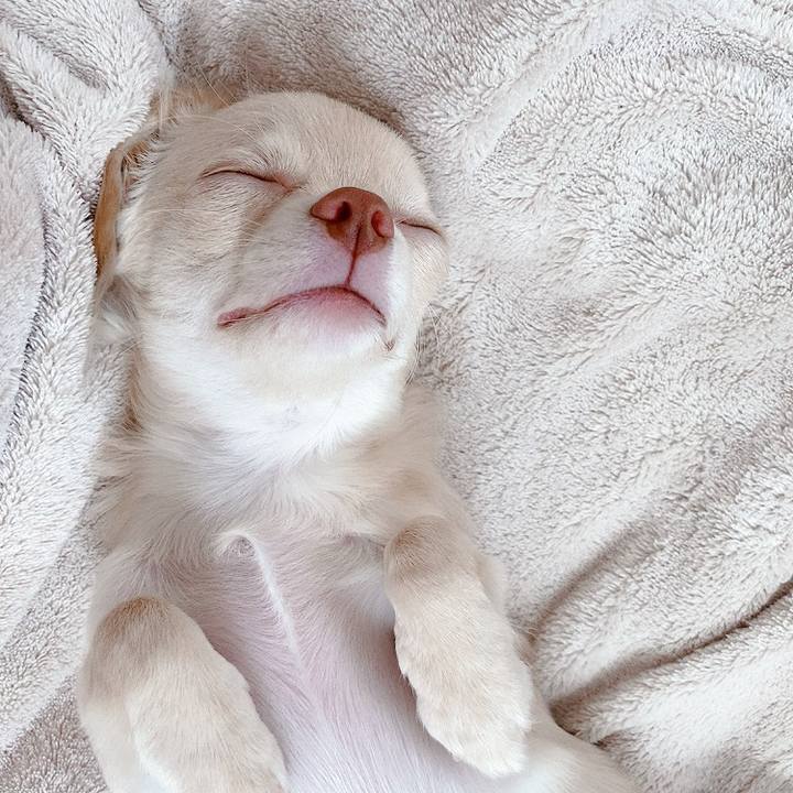 83349651 dd1b 48fc 8fc7 efbbf287a403 1595820012758