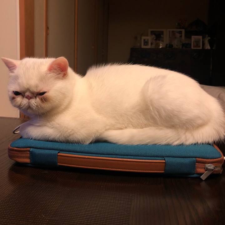 8334a636 95a5 4398 9977 b00cef83b8cf 1555247401556