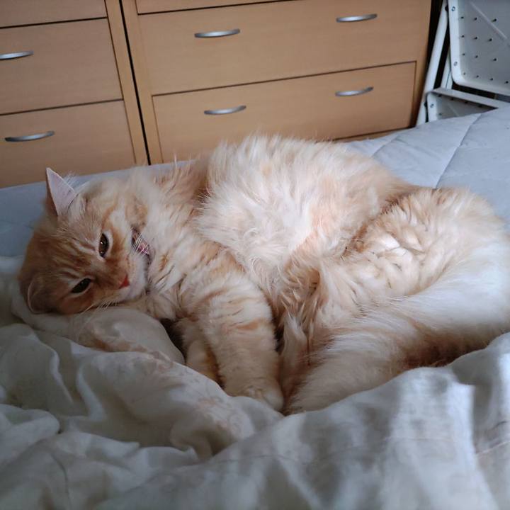 8334f51b 4775 4295 804c f70f739729d3 1687816373673