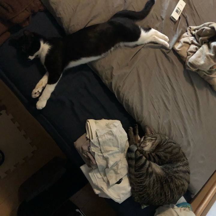 83353a3f 0bdb 4bb9 a7dc 8c39d2803b65 1531854750558