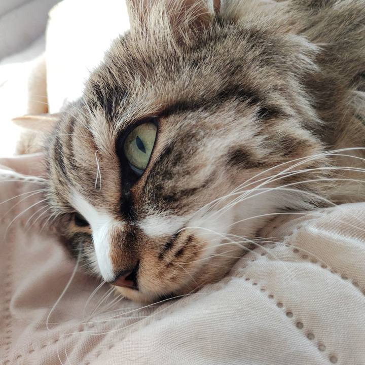 83355186 3b8c 4eaa b41a d4a3bea93464 1763354659692