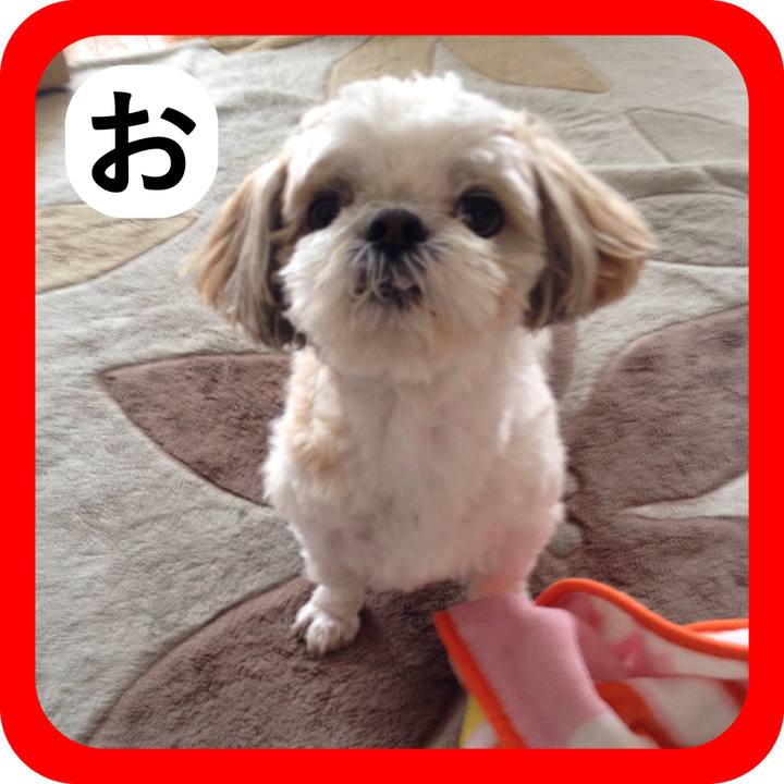 833582d3 5bf9 42be 9e78 4d28fed56c6a 1515072013537