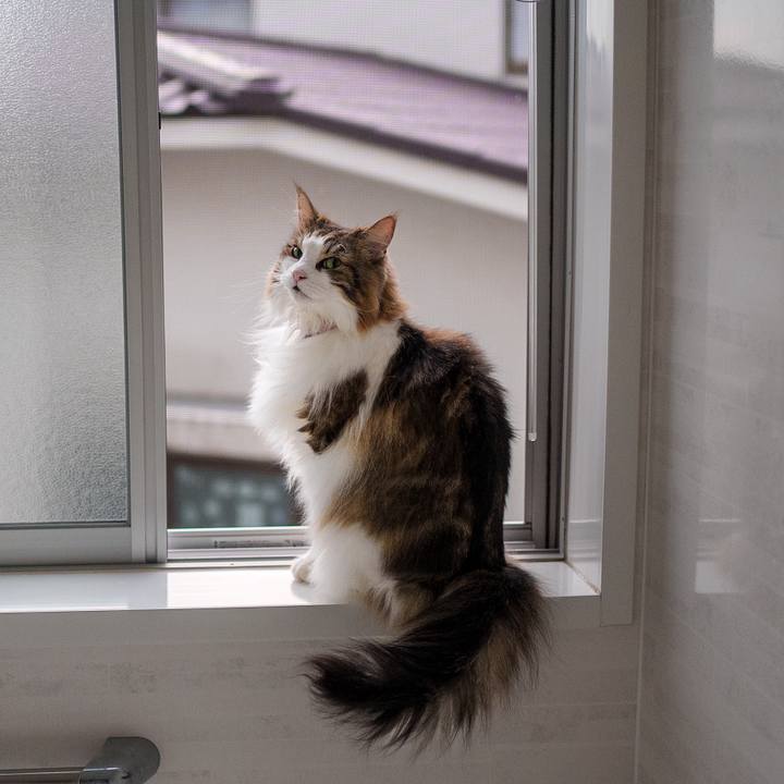 83358799 428c 473b ac94 4290fecaf1d0 1726648191340