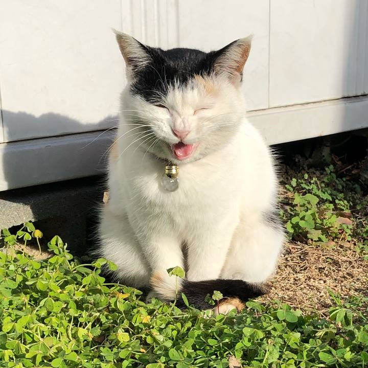 83359cc2 7b7e 4727 b3e7 3d74ed049aa9 1610796937185