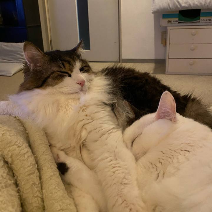 8335afde cc2d 4be8 8b9f 7e4e2eb85971 1673740602720