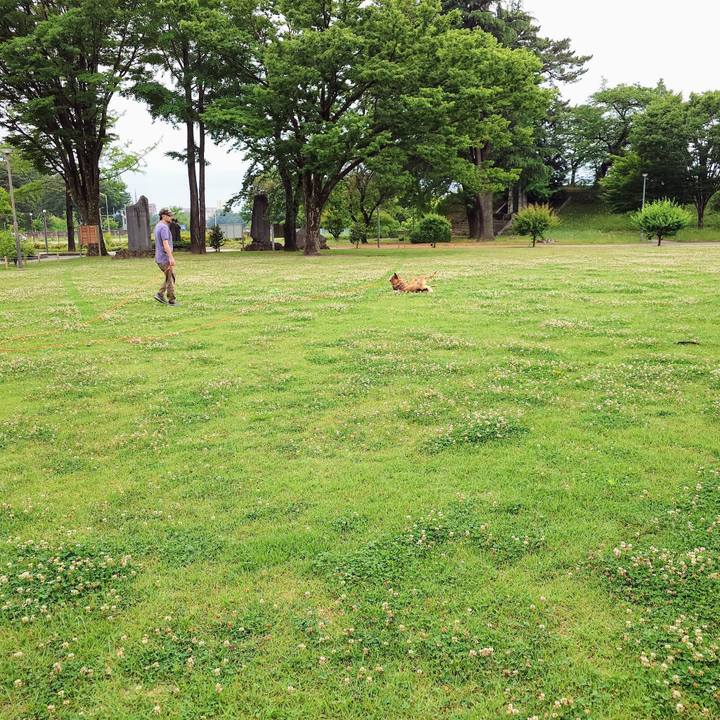 8335e610 14c1 4242 9044 7614336128b0 1748052121760