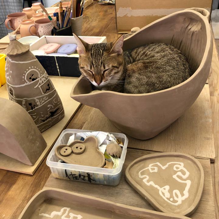 8335ecc8 e594 4871 b045 ab15397799b3 1596513822099