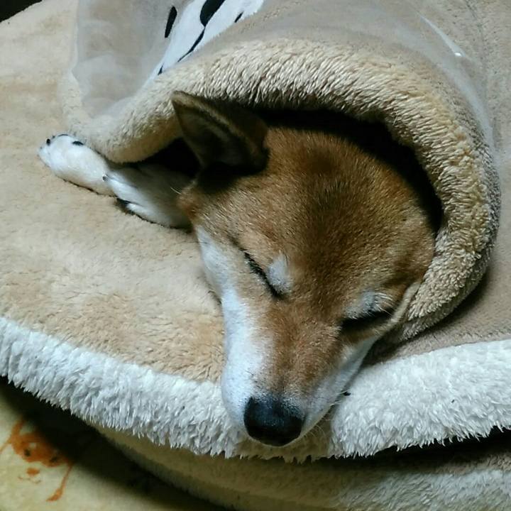 8335fbf9 a21d 456c 843e fe2a25a0bbe5 1573738968994