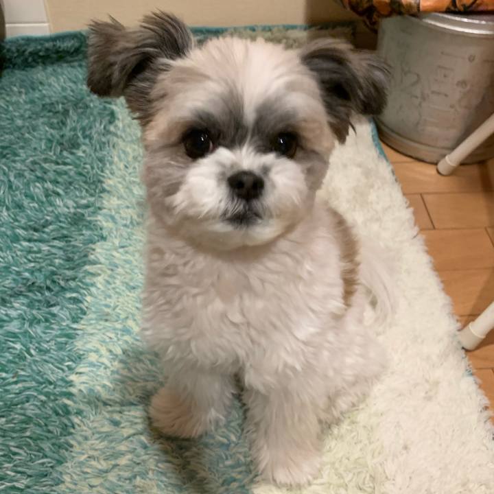 833610df 91a2 4161 9b8b cf1b4ac74985 1576193179328