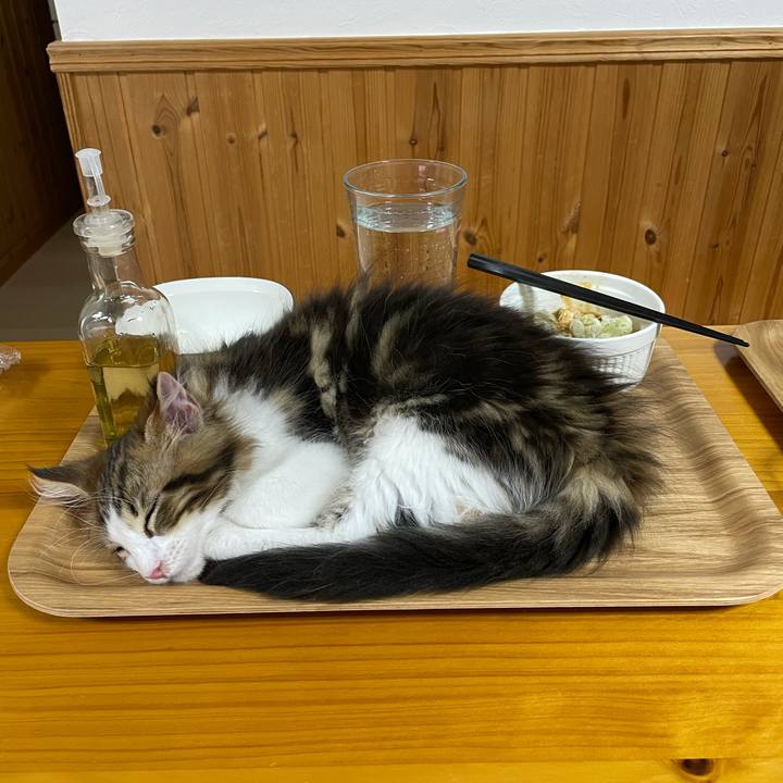 83363b8d cd0d 44a4 bbcb 3b9d96eaaf30 1632478329060