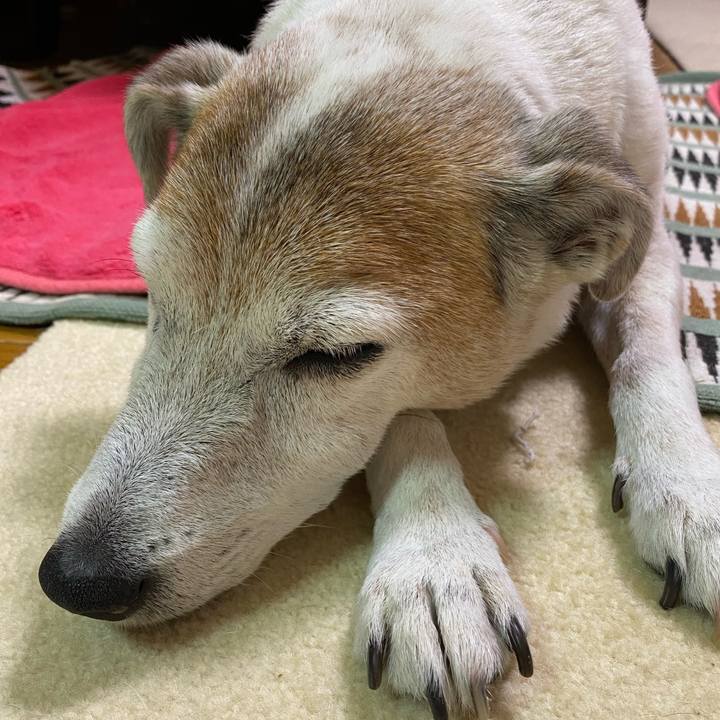 83363bc5 fd1b 40aa a0ff 34167710bdd5 1624367876521