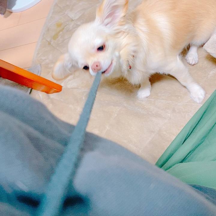 83366ebf d241 4a30 94f2 bc12bfc47f56 1635318757849