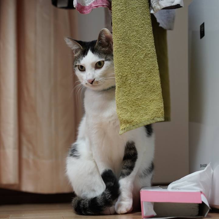 83368f67 919c 4e0d bb79 625ac73dffec 1575589140920