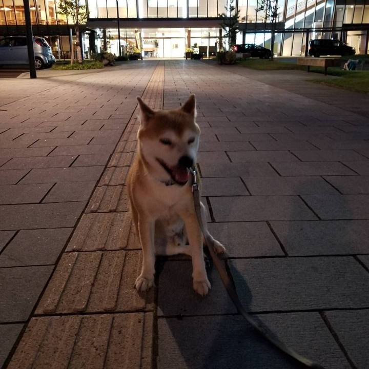 833696ca 1fe6 4727 a8e5 fcaaa1b0d427 1565432347375