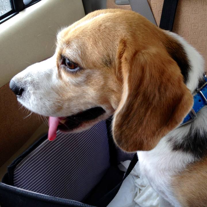 8336ac62 3da0 4efa 98ad bc4e31a12076 1730413057306