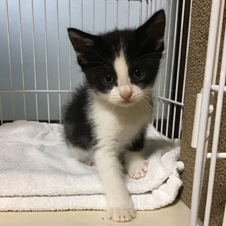 8336b19b 8441 47dd b511 e4412f7ee5c1 1622801938803