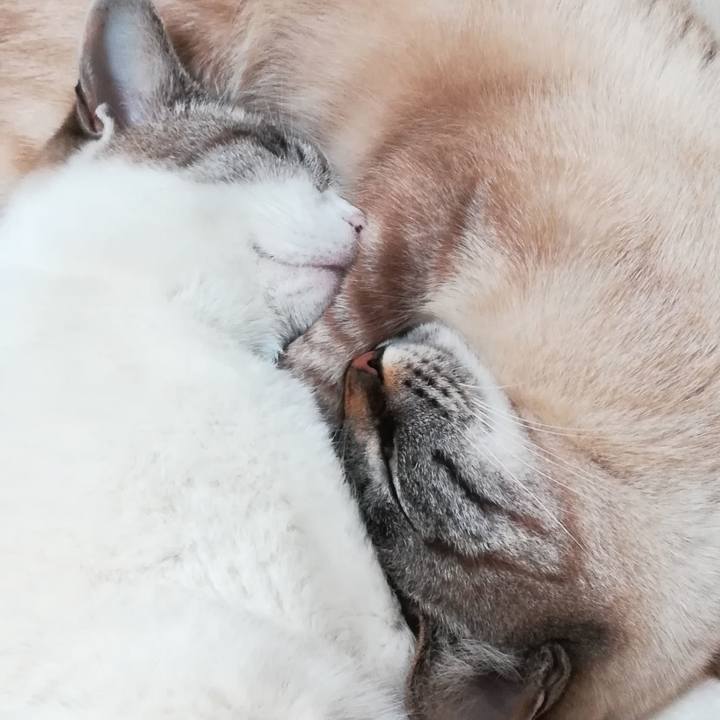 83371ea2 841a 49e4 b55e 647dab56d550 1579521232083