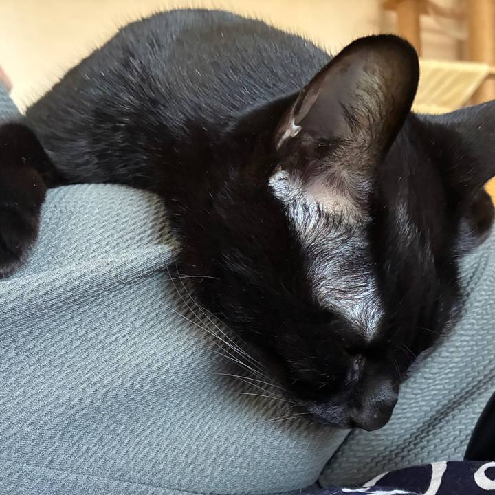 83372b14 a1c6 4fee 971f 25afa68a6b50 1763945203296