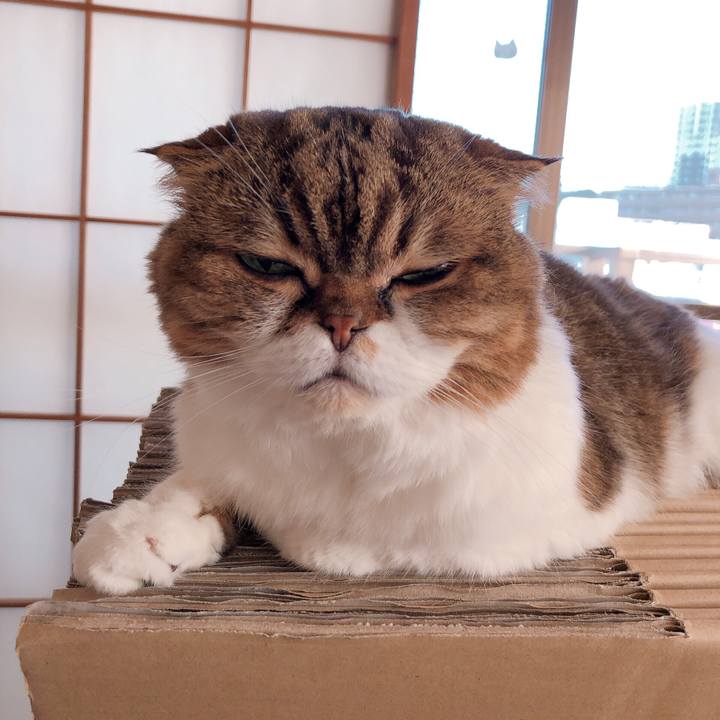 83373824 c3cd 403a 9ef4 2433f8898f93 1568672985985