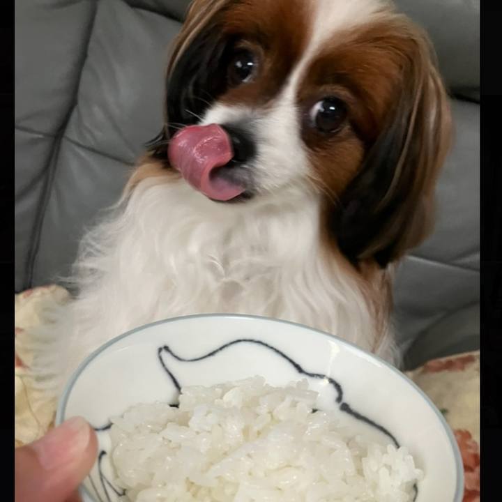 833780a3 47c4 4143 a4b5 c59af9e528da 1752327838111