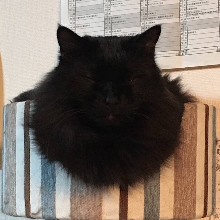 8337b8a3 a870 4d2e b041 08d49182ee77 1548071827157