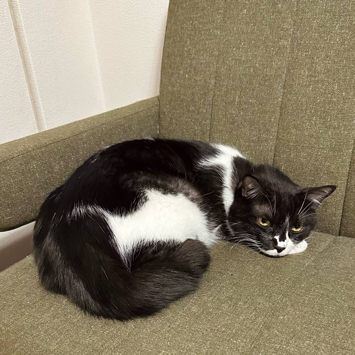 8337cd68 19b8 421c 9860 9793c1c521b3 1771231977041