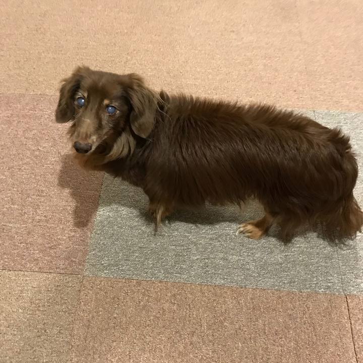 83381c76 5e0c 4c4e b133 ce6045094368 1513590603729