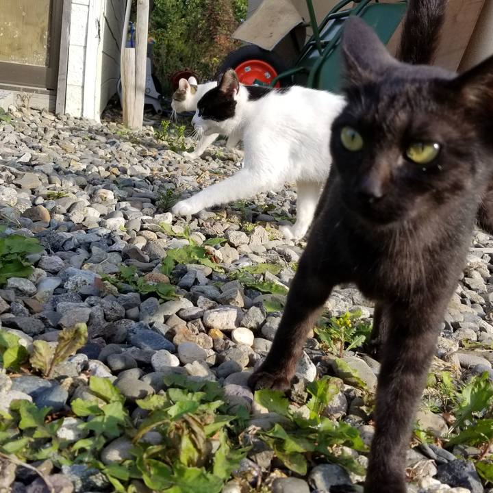 833879a4 4964 422d 8ec7 356822f7d640 1570095136298