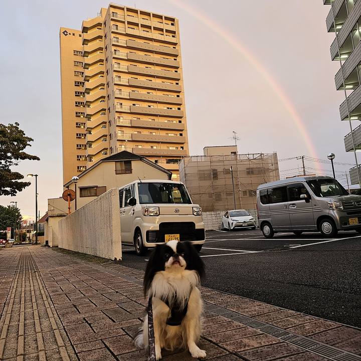 8338a54e 3713 4fe6 a8b7 7f544da592fa 1693992920370