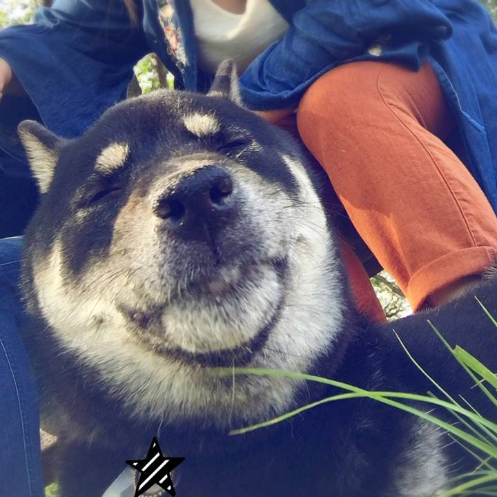 8338afbf da2f 4428 9511 92a5497d51f0 1524382082867