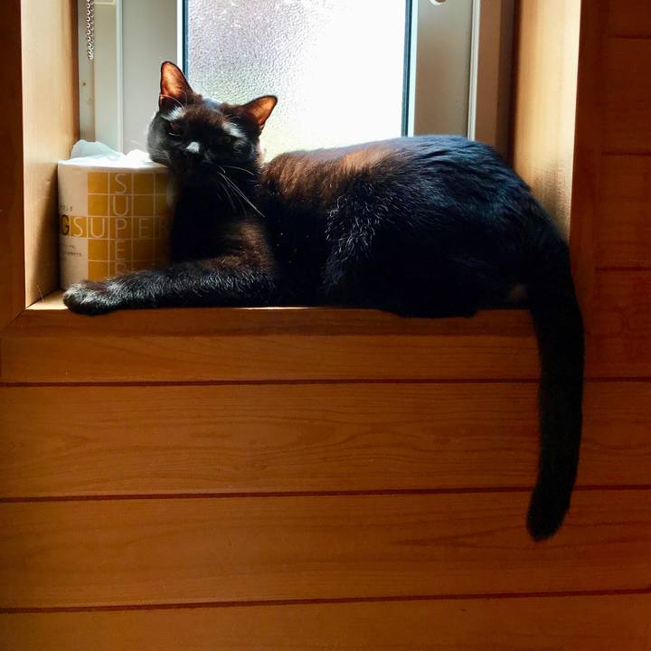 8338ffbb de4d 438b b92d dd3dcbe32b41 1525913959480