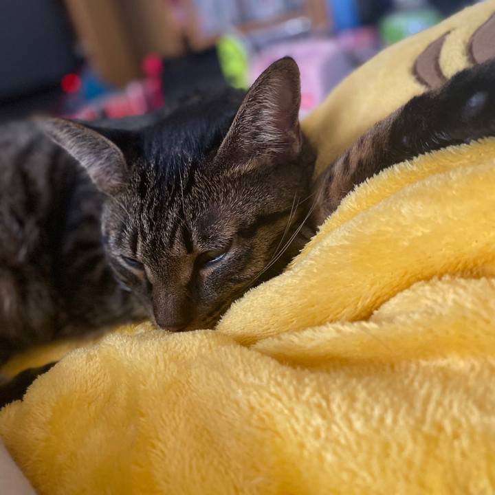 83391c9b 9b91 42e9 8384 6e6c2f2dfae1 1571554258406