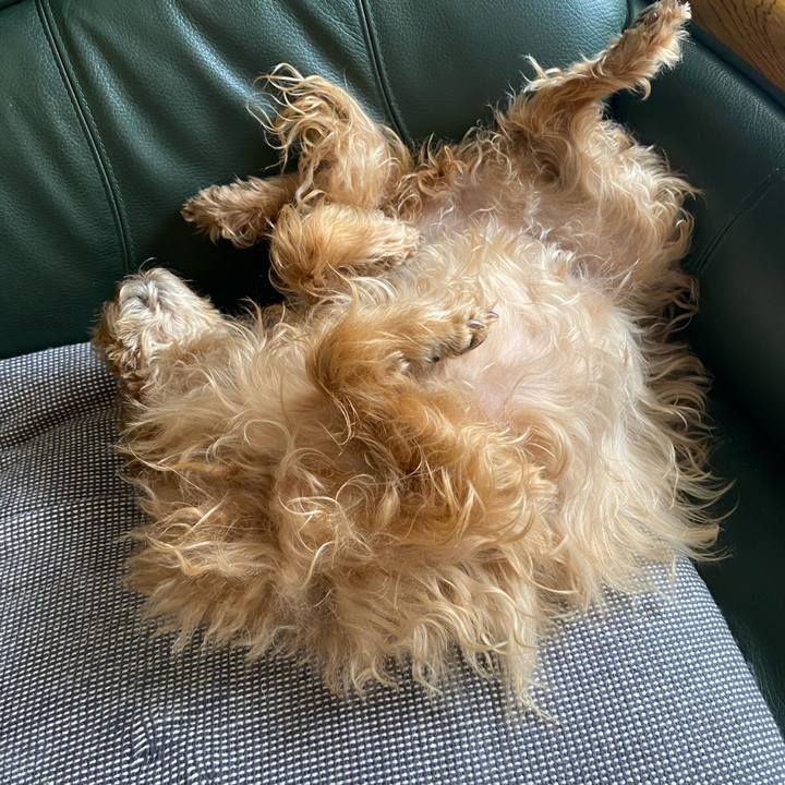 833931bb f0aa 4395 912a c6f09ca0f511 1647077210671