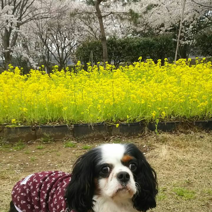 833968eb c6da 4218 9271 7503f0e09d08 1523629387999