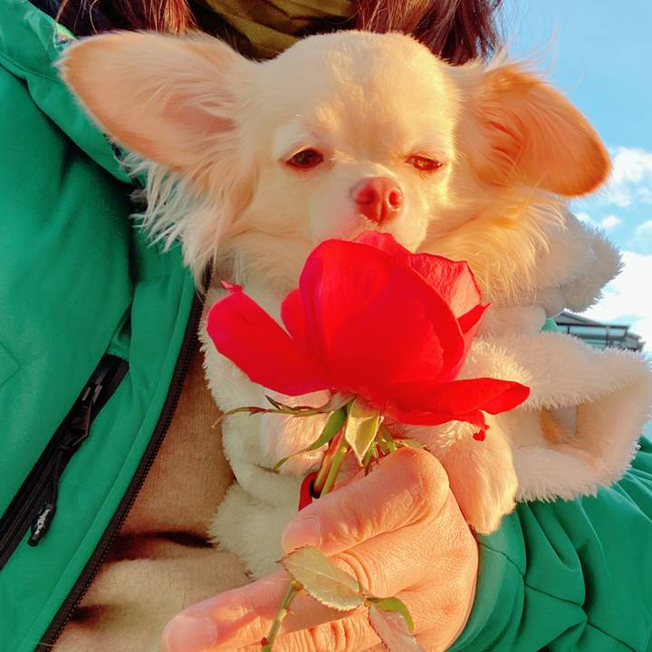 8339b6cc 7c81 4416 a1cf 67fe3d24d8a7 1642593430177