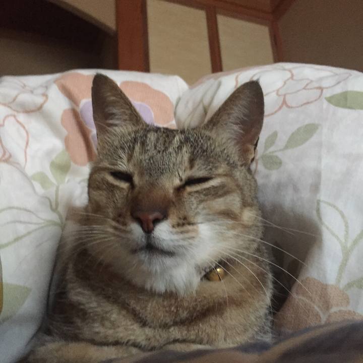 8339c3de f0b9 4d02 b65b dfc64cc7d187 1563746617532