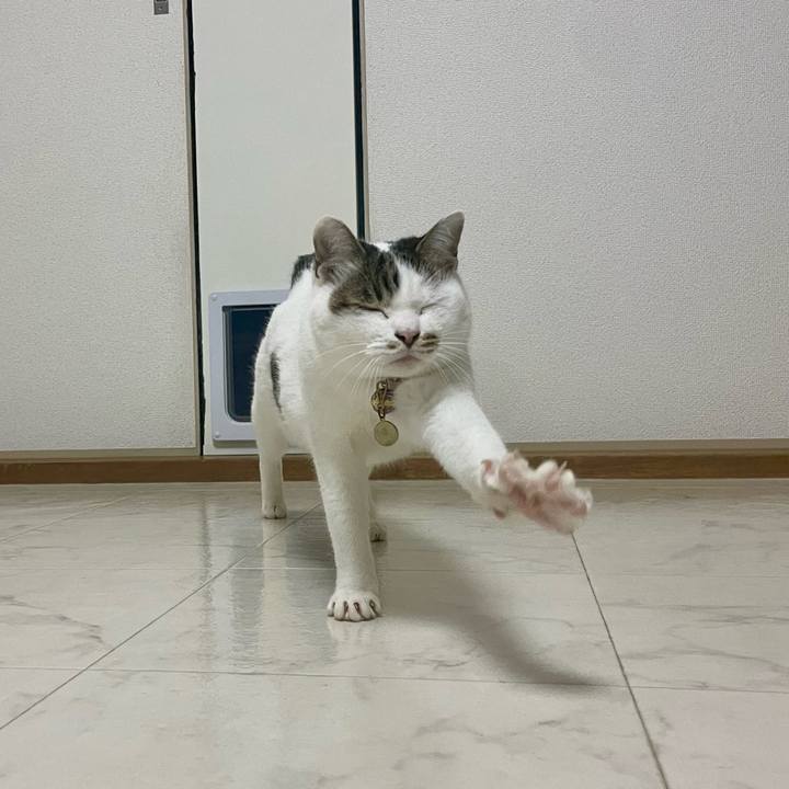8339dd68 95df 43ef 932c 50f0d7f78454 1738753952521