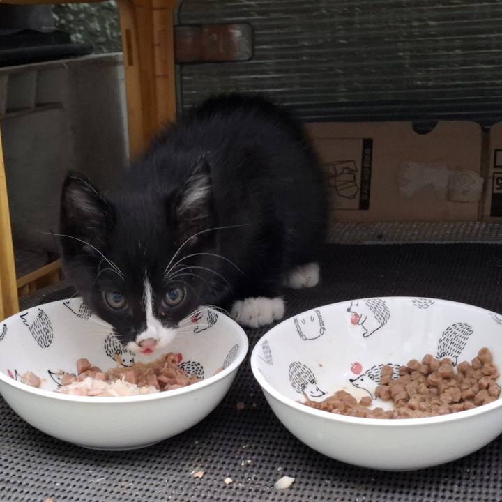 8339f438 5469 438a 8394 55d58bda483f 1749792819653