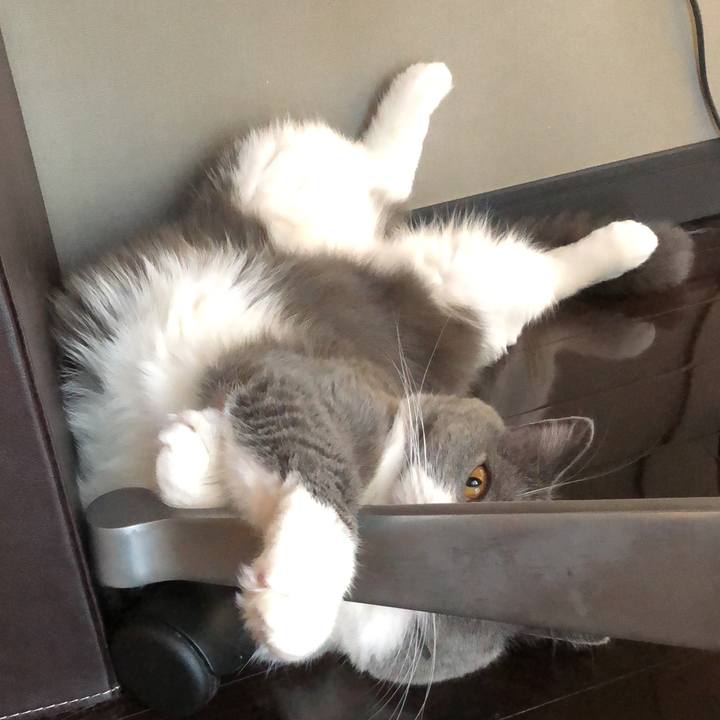 833a19cc f834 435e 8fa9 b67a37ab4639 1538376836369